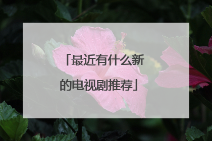 最近有什么新的电视剧推荐