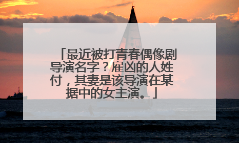 最近被打青春偶像剧导演名字？雇凶的人姓付，其妻是该导演在某据中的女主演。