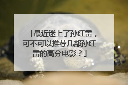 最近迷上了孙红雷,可不可以推荐几部孙红雷的高分电影?