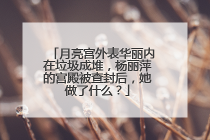 月亮宫外表华丽内在垃圾成堆，杨丽萍的宫殿被查封后，她做了什么？