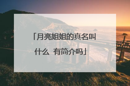 月亮姐姐的真名叫什么 有简介吗
