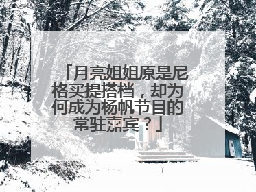 月亮姐姐原是尼格买提搭档，却为何成为杨帆节目的常驻嘉宾？
