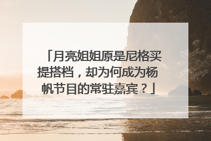 月亮姐姐原是尼格买提搭档，却为何成为杨帆节目的常驻嘉宾？