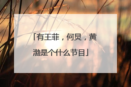 有王菲，何炅，黄渤是个什么节目