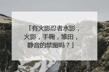 有火影忍者水影,火影,手鞠,雏田,静音的禁图吗?