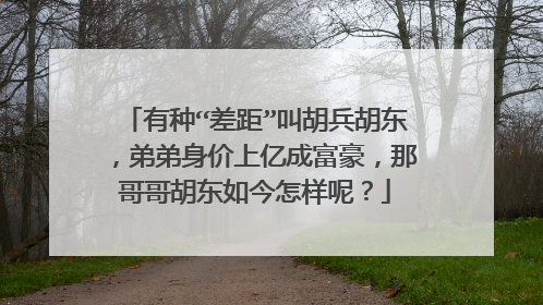 有种“差距”叫胡兵胡东，弟弟身价上亿成富豪，那哥哥胡东如今怎样呢？