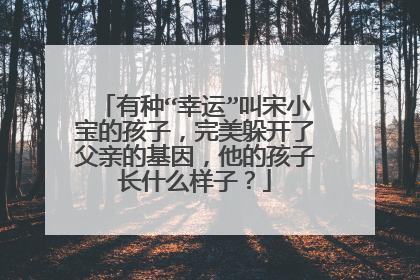 有种“幸运”叫宋小宝的孩子,完美躲开了父亲的基因,他的孩子长什么样子?