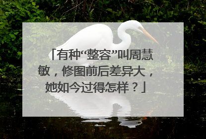 有种“整容”叫周慧敏，修图前后差异大，她如今过得怎样？