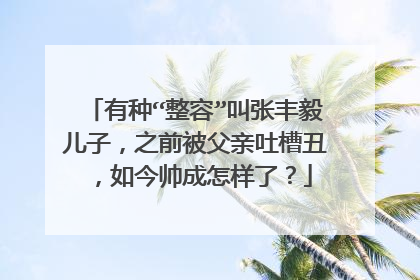 有种“整容”叫张丰毅儿子,之前被父亲吐槽丑,如今帅成怎样了?