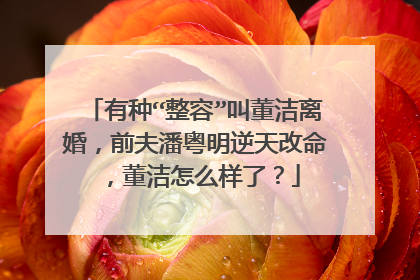 有种“整容”叫董洁离婚，前夫潘粤明逆天改命，董洁怎么样了？