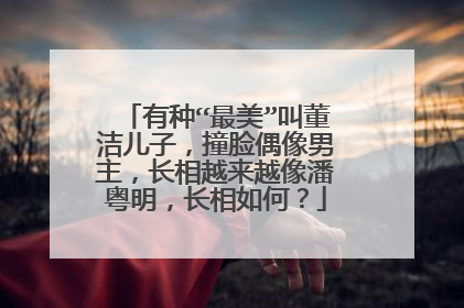 有种“最美”叫董洁儿子,撞脸偶像男主,长相越来越像潘粤明,长相如何?