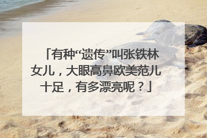 有种“遗传”叫张铁林女儿,大眼高鼻欧美范儿十足,有多漂亮呢?