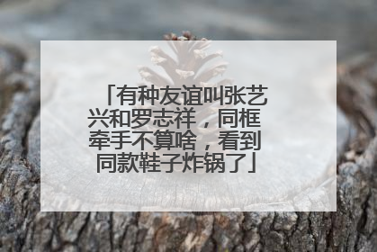 有种友谊叫张艺兴和罗志祥,同框牵手不算啥,看到同款鞋子炸锅了