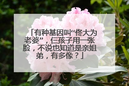 有种基因叫“佟大为老婆”，仨孩子用一张脸，不说也知道是亲姐弟，有多像？
