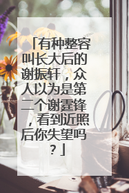 有种整容叫长大后的谢振轩，众人以为是第二个谢霆锋，看到近照后你失望吗？