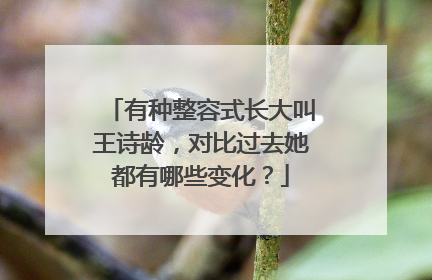 有种整容式长大叫王诗龄,对比过去她都有哪些变化?