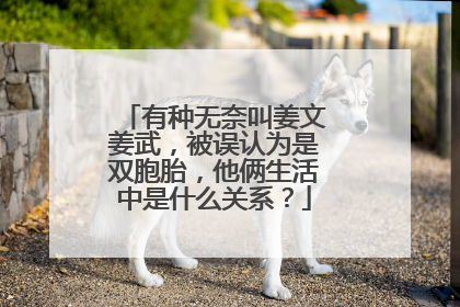 有种无奈叫姜文姜武,被误认为是双胞胎,他俩生活中是什么关系?