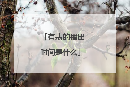 有翡的播出时间是什么