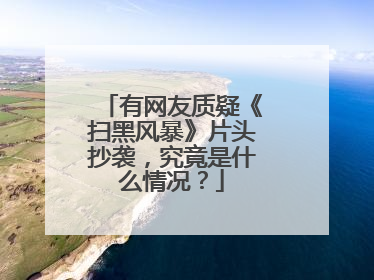 有网友质疑《扫黑风暴》片头抄袭，究竟是什么情况？