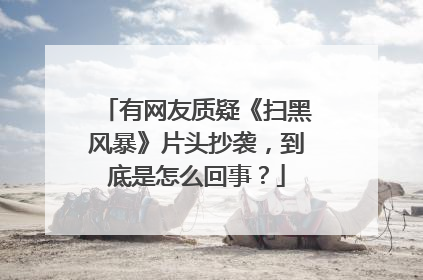 有网友质疑《扫黑风暴》片头抄袭，到底是怎么回事？