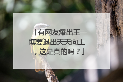 有网友爆出王一博要退出天天向上，这是真的吗？