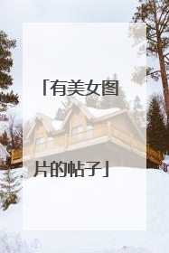 有美女图片的帖子