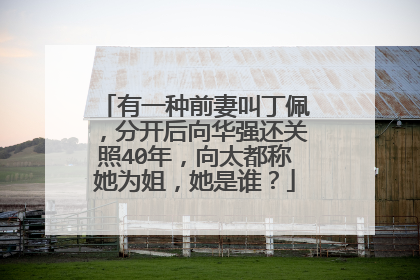 有一种前妻叫丁佩，分开后向华强还关照40年，向太都称她为姐，她是谁？
