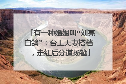 有一种婚姻叫“刘亮白鸽”：台上夫妻搭档，走红后分道扬镳