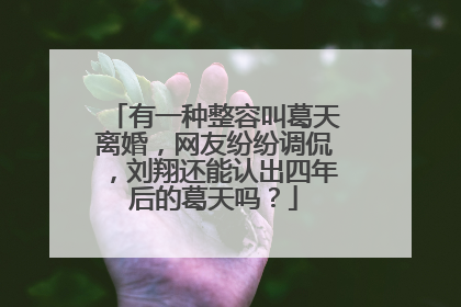 有一种整容叫葛天离婚，网友纷纷调侃，刘翔还能认出四年后的葛天吗？