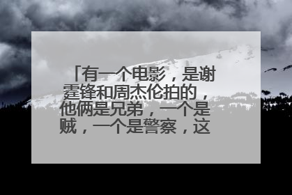 有一个电影,是谢霆锋和周杰伦拍的,他俩是兄弟,一个是贼,一个是警察,这电影名字叫啥
