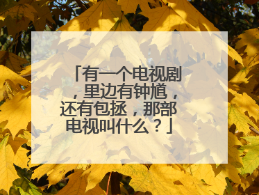 有一个电视剧，里边有钟馗，还有包拯，那部电视叫什么？
