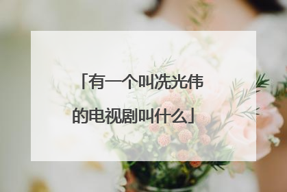 有一个叫冼光伟的电视剧叫什么