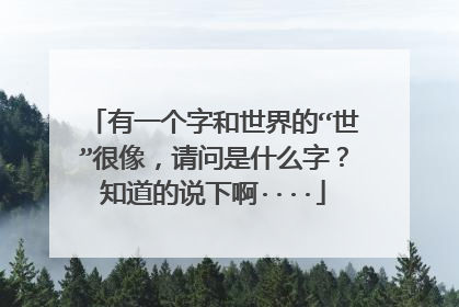 有一个字和世界的“世”很像，请问是什么字？知道的说下啊····