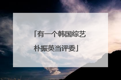 有一个韩国综艺朴振英当评委