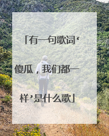 有一句歌词‘傻瓜，我们都一样’是什么歌