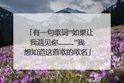 有一句歌词“如果让我遇见你…………”我想知道这首歌的歌名
