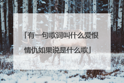 有一句歌词叫什么爱恨情仇如果说是什么歌