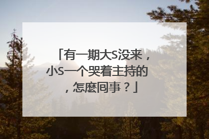 有一期大S没来,小S一个哭着主持的,怎麽囘事?