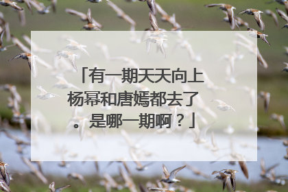 有一期天天向上杨幂和唐嫣都去了。是哪一期啊?