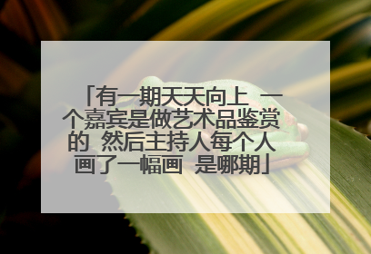 有一期天天向上 一个嘉宾是做艺术品鉴赏的 然后主持人每个人画了一幅画 是哪期