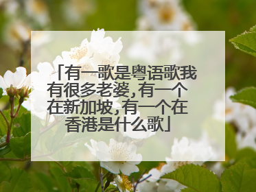 有一歌是粤语歌我有很多老婆,有一个在新加坡,有一个在香港是什么歌
