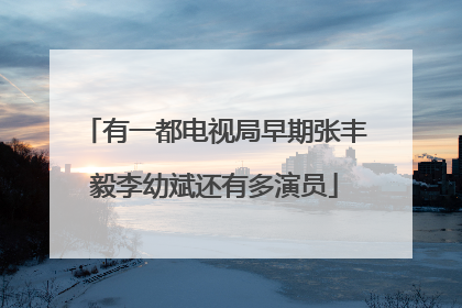 有一都电视局早期张丰毅李幼斌还有多演员