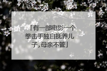 有一部电影一个拳击手独自抚养儿子,母亲不管