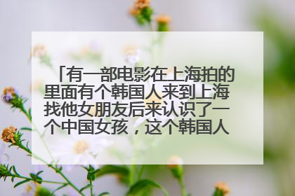 有一部电影在上海拍的里面有个韩国人来到上海找他女朋友后来认识了一个中国女孩,这个韩国人在电影里叫江