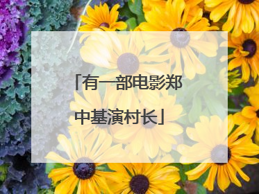 有一部电影郑中基演村长