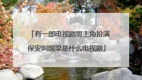 有一部电视剧男主角扮演保安叫国梁是什么电视剧