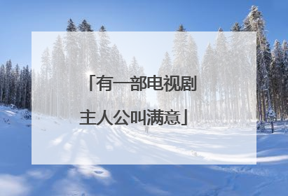 有一部电视剧主人公叫满意
