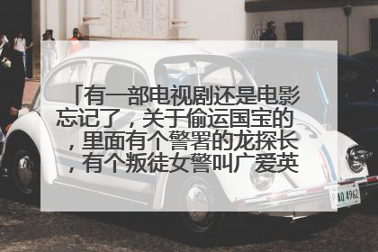 有一部电视剧还是电影忘记了,关于偷运国宝的,里面有个警署的龙探长,有个叛徒女警叫广爱英!叫什么片名