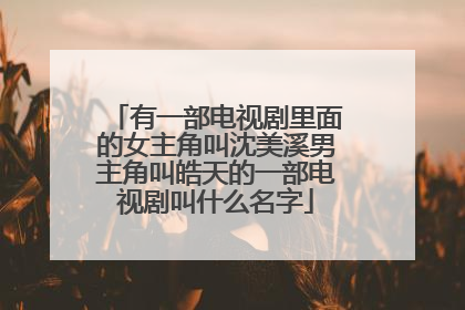 有一部电视剧里面的女主角叫沈美溪男主角叫皓天的一部电视剧叫什么名字