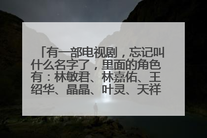 有一部电视剧，忘记叫什么名字了，里面的角色有：林敏君、林嘉佑、王绍华、晶晶、叶灵、天祥等。有人知道